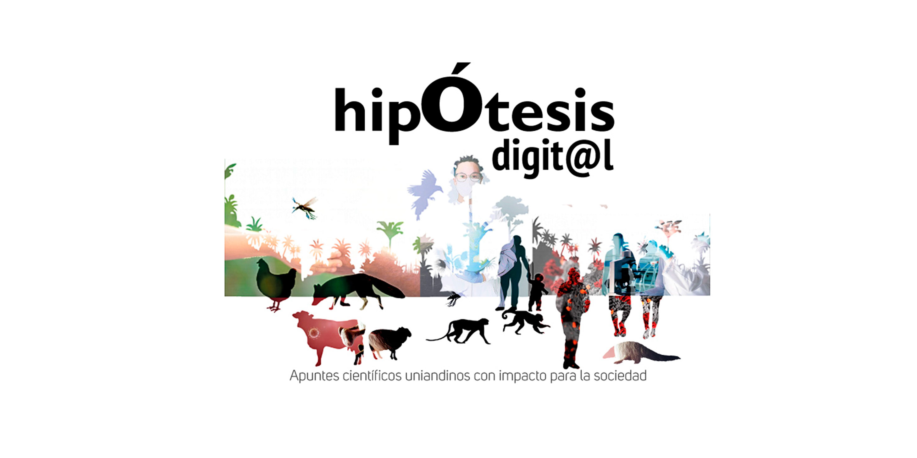 Hipótesis digital: Apuntes científicos uniandinos con impacto para la sociedad