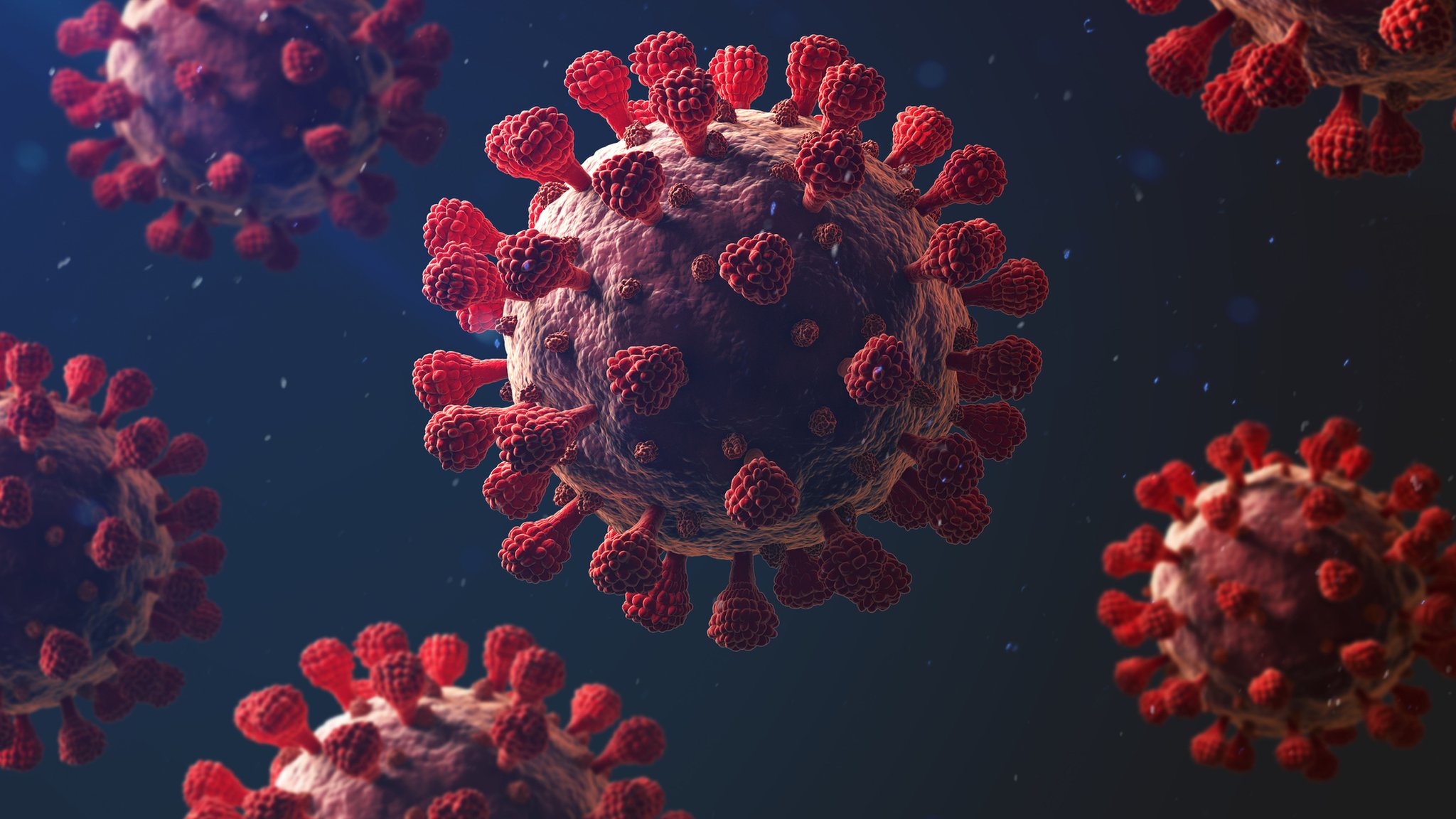 El origen del virus SARS-CoV-2 y la ecoepidemiología de la COVID-19