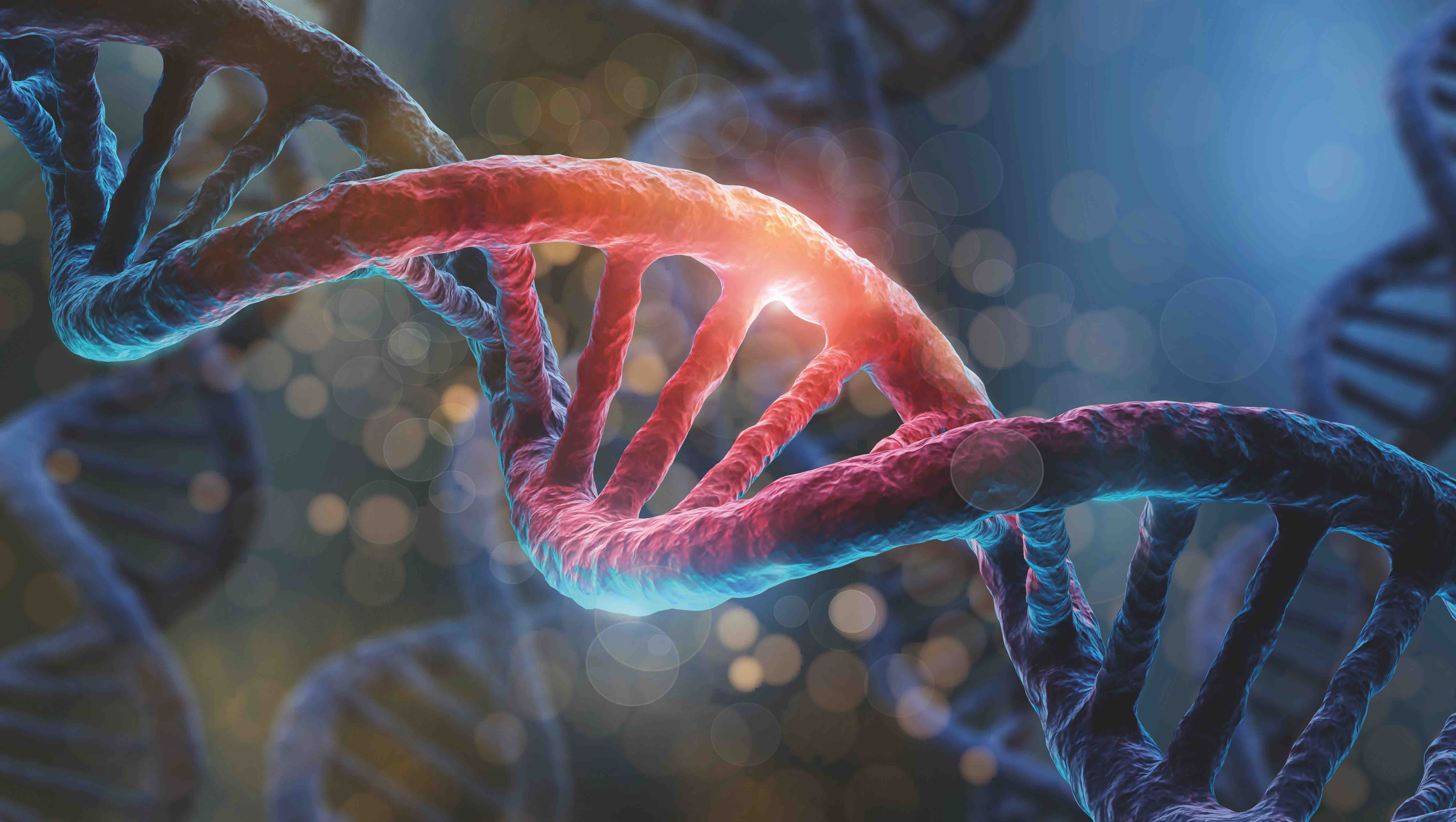 Setenta años después del descubrimiento del ADN y de la creación del Departamento de Ciencias Biológicas